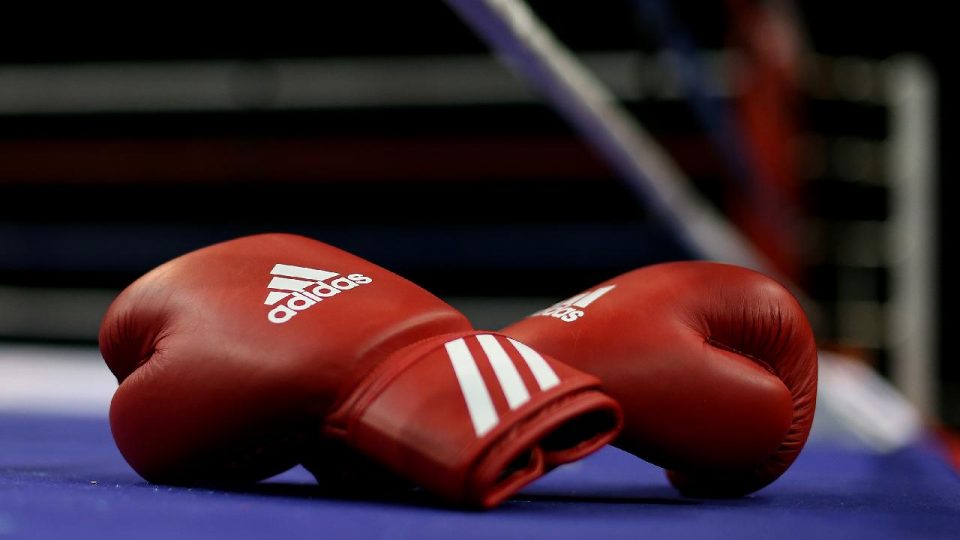 Yeni kurulan Dünya Boks Federasyonunun üye sayısı artıyor